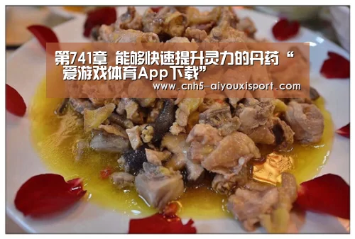 第741章 能够快速提升灵力的丹药“ 爱游戏体育App下载”(图4) 爱游戏体育