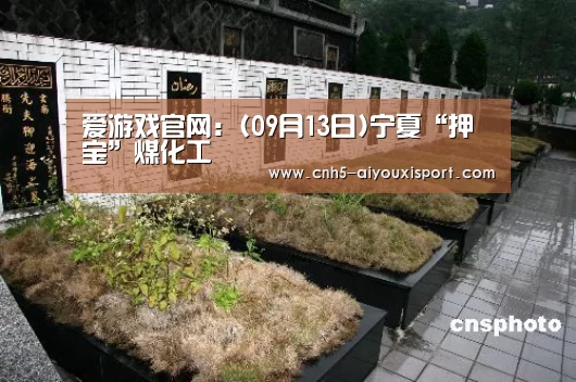  爱游戏体育App下载