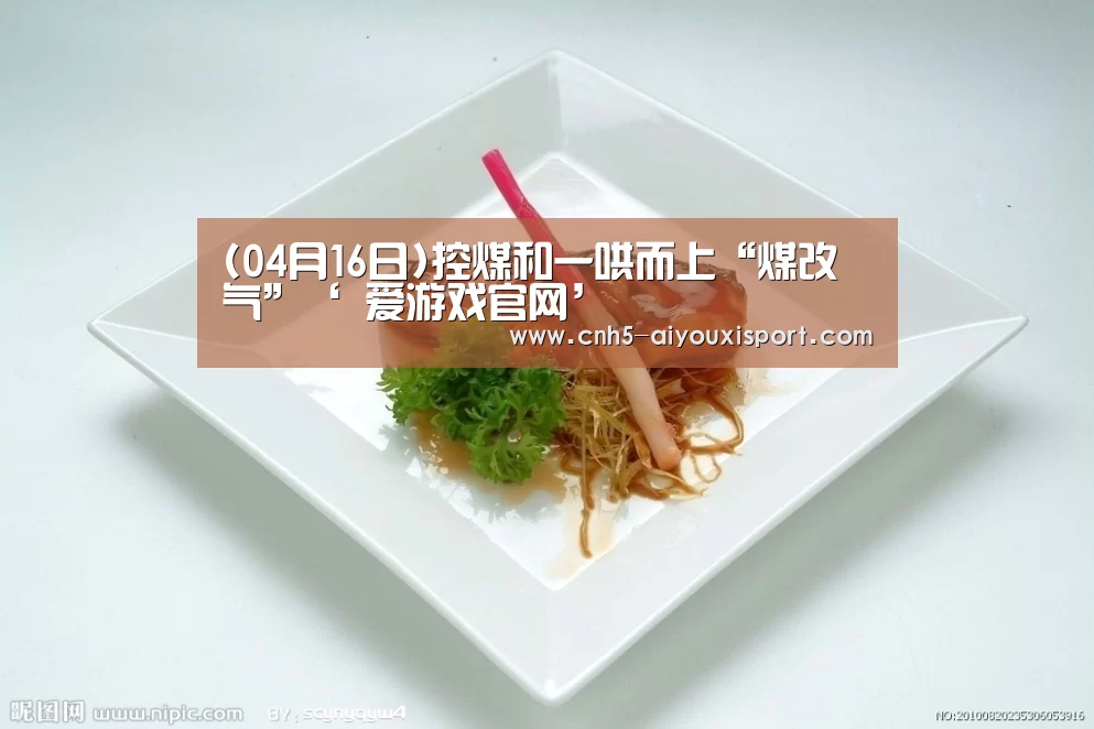 (04月16日)控煤和一哄而上“煤改气”‘ 爱游戏官网’