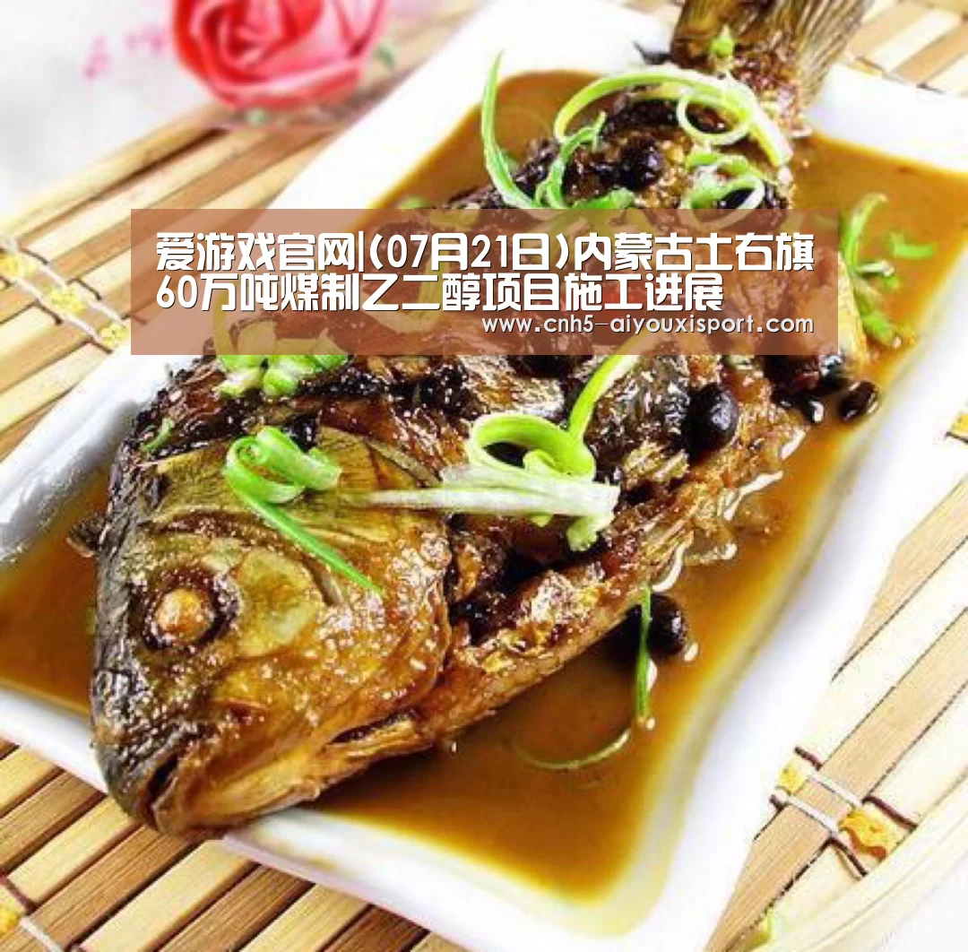 爱游戏官网|(07月21日)内蒙古土右旗60万吨煤制乙二醇项目施工进展(图3) 爱游戏体育App下载