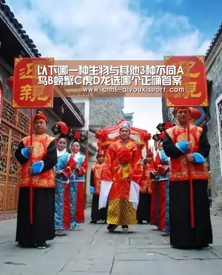  爱游戏体育App下载
