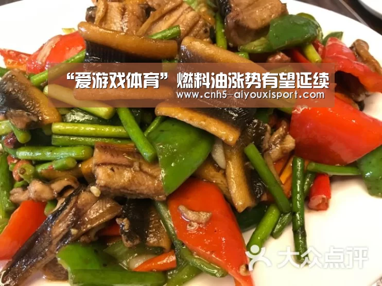  爱游戏体育App下载
