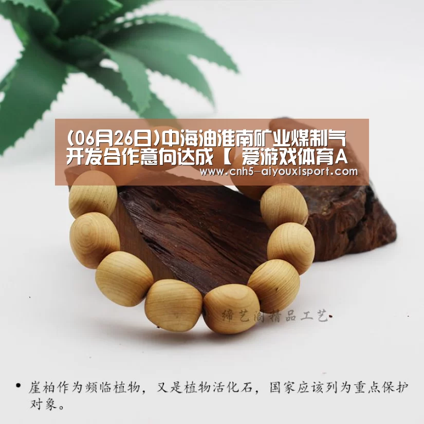  爱游戏体育App下载