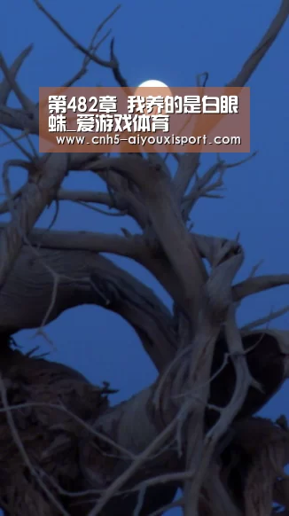 爱游戏体育