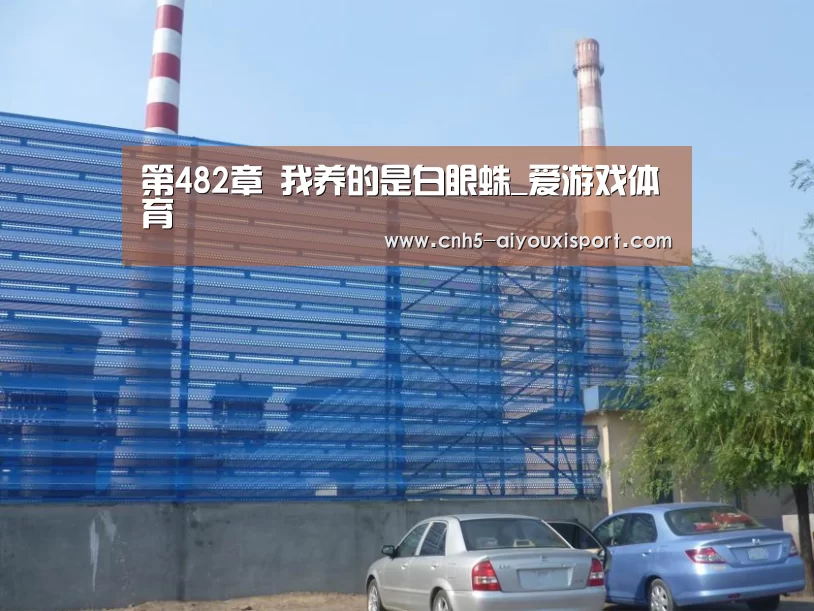 爱游戏体育