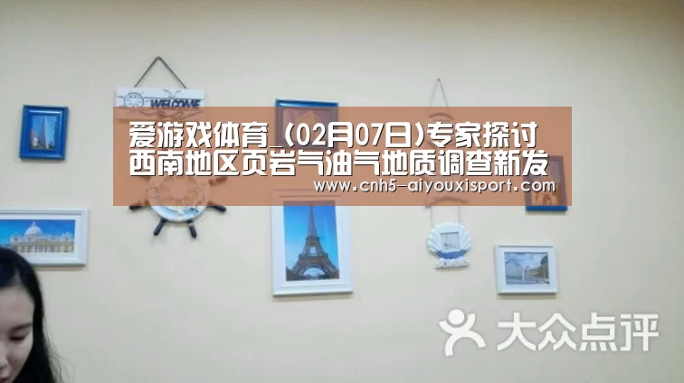 爱游戏体育_(02月07日)专家探讨西南地区页岩气油气地质调