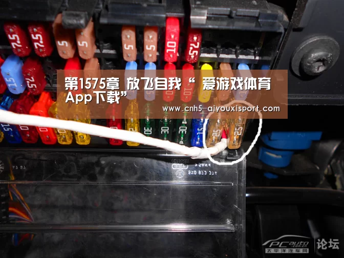  爱游戏体育App下载
