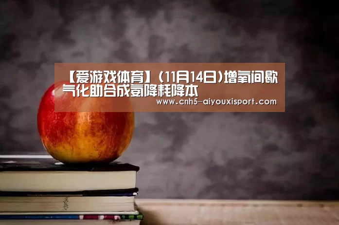 【爱游戏体育】(11月14日)增氧间歇气化助合成氨降耗降本
